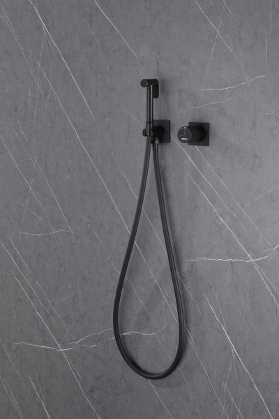 Смеситель ABBER Rund AF8725B с гигиеническим душем, черный матовый фото в интернет-магазине «Wasser-Haus.ru»