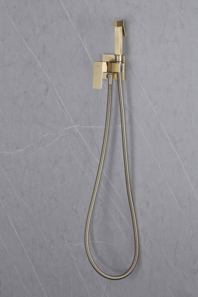 Смеситель ABBER Daheim AF8226G с гигиеническим душем, золото матовое фото в интернет-магазине «Wasser-Haus.ru»